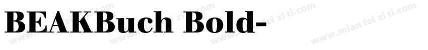 BEAKBuch Bold字体转换